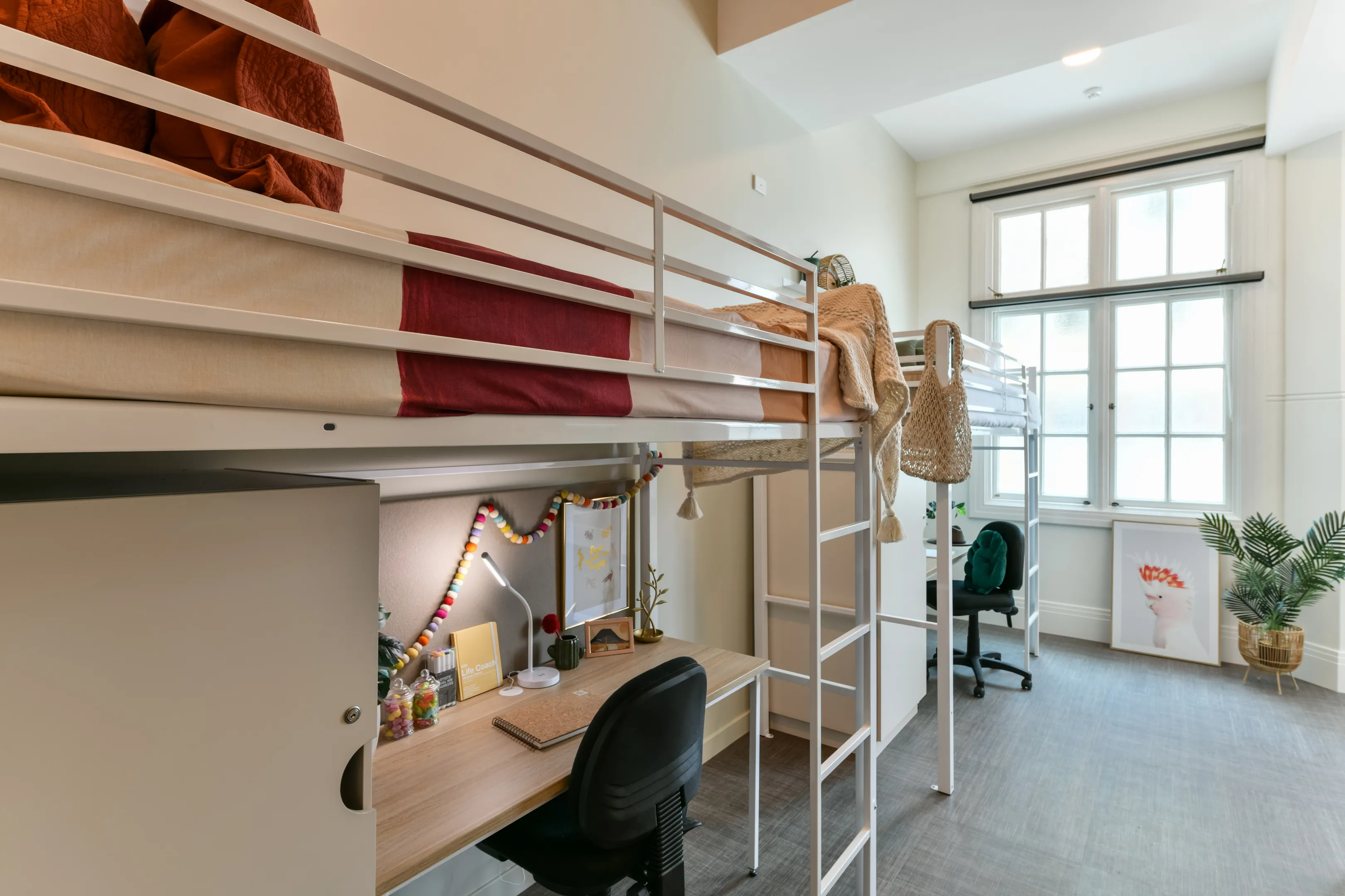 Twin Lofts at UniLodge Herston — photo 2