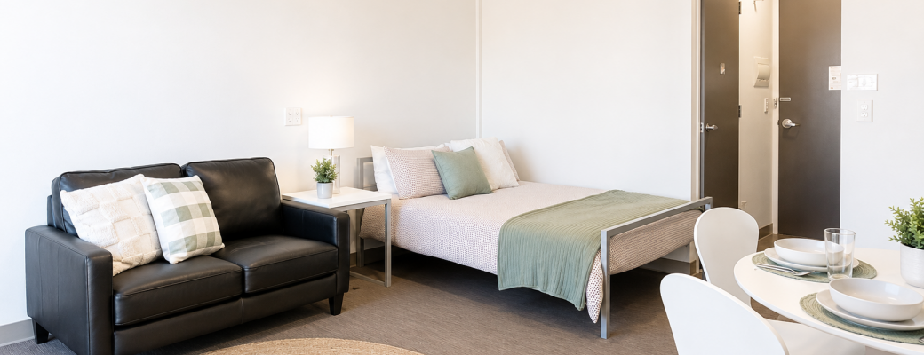 Double Studio Apartment — Large — photo 2