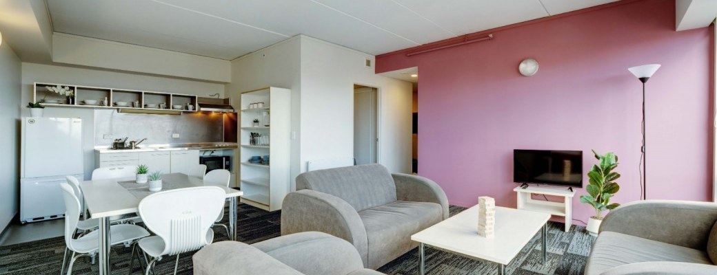 Room in a 4 Bedroom Apartment Small — photo 3