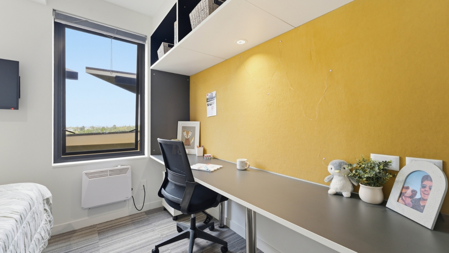 Studio at UniLodge Auckland City — photo 3